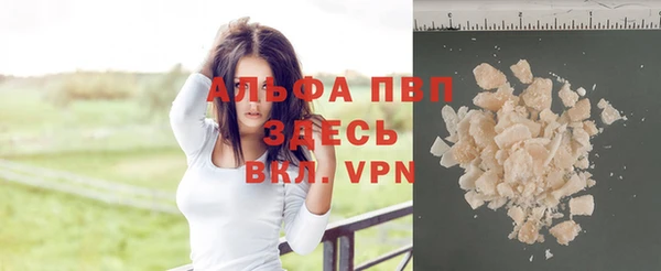 крисы Касимов