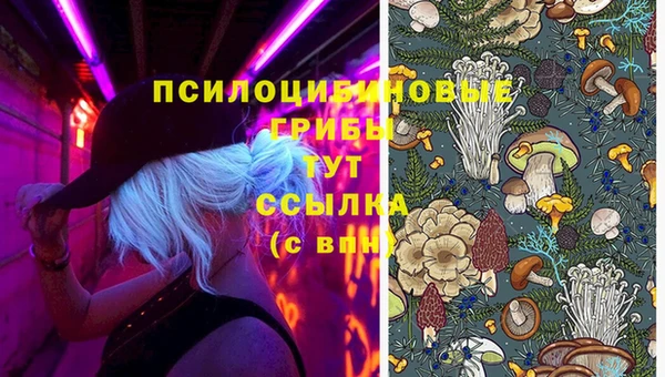 прущий лед Карпинск