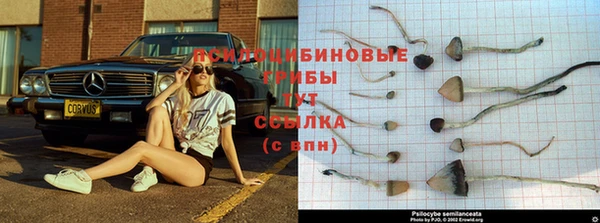 прущий лед Карпинск