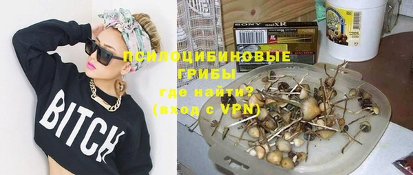 прущий лед Карпинск