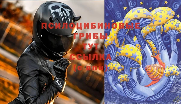 прущий лед Карпинск